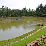 Kamienica House 9 *