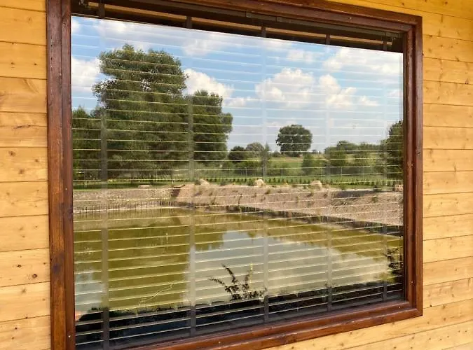 Kamienica House 9 * Wagrowiec